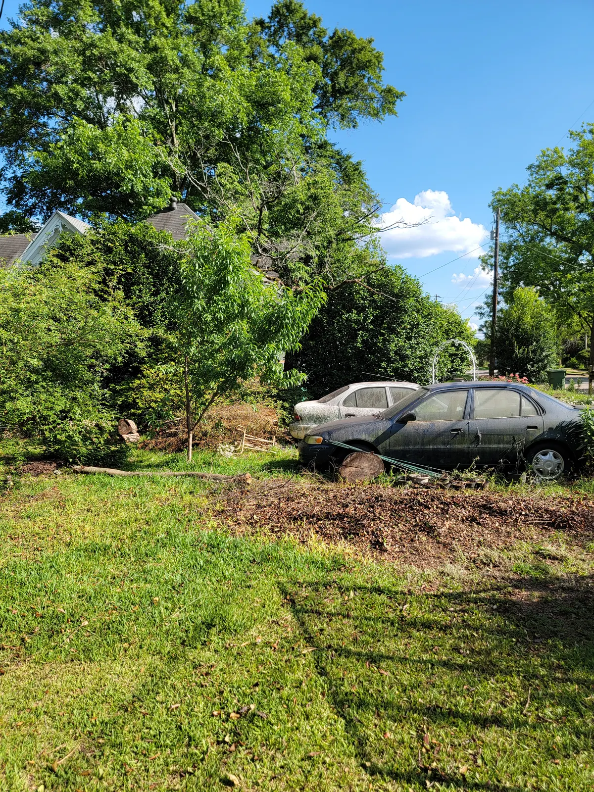 The same driveway edge after the pile of limbs and brush was removed