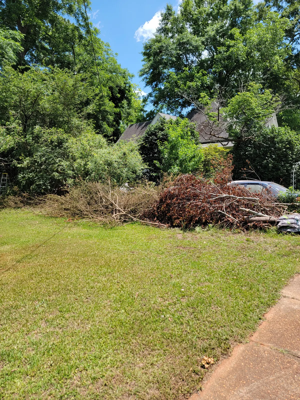 A pile of tree limbs and brush beside a driveway before pickup