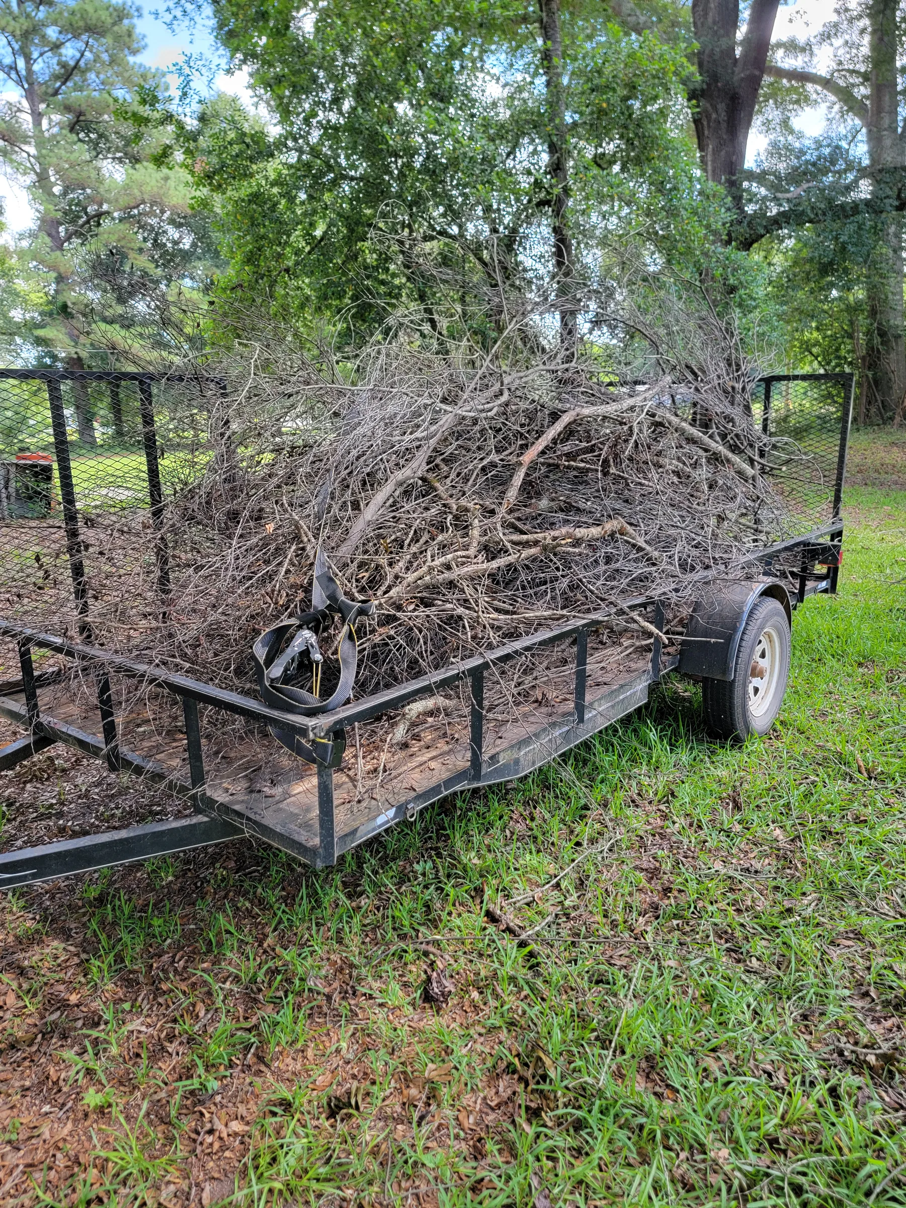 A real utility trailer loaded with limbs and brush